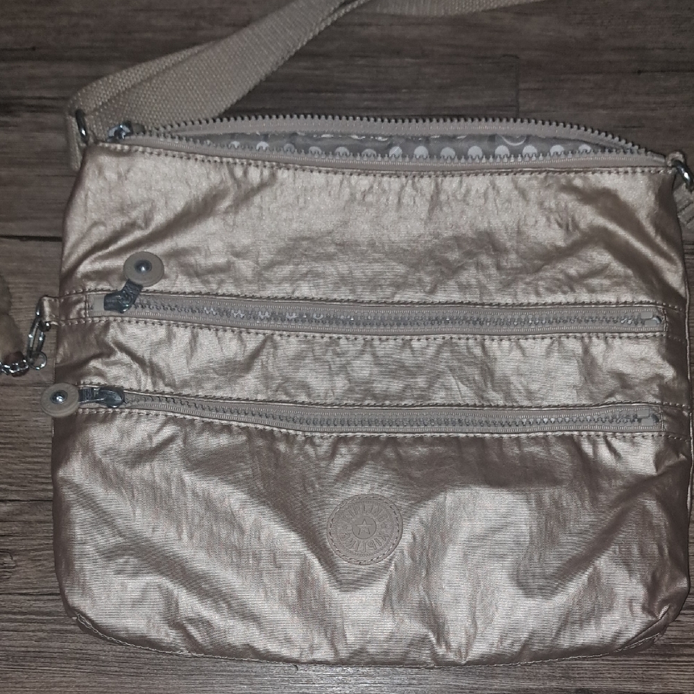 Metallic Crossbody Bag
